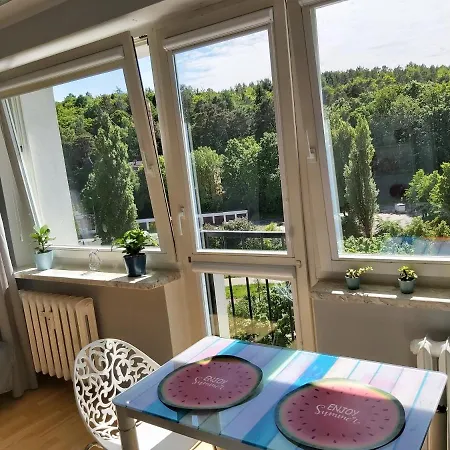 Kawalerka Studio Homestay